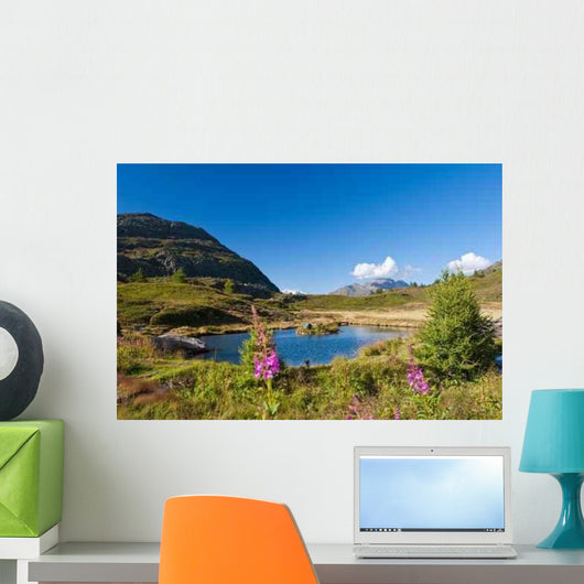 Simplon Pass Switzerland Mountain Wall Decal