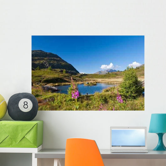 Simplon Pass Switzerland Mountain Wall Decal