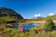 Simplon Pass Switzerland Mountain Wall Decal