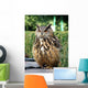 Eurasian Eagle Owl