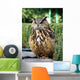 Eurasian Eagle Owl