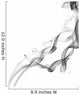 Abstract Grey Smoke Isolated Wall Mural