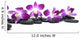 Orchid Flower Still Life Wall Decal