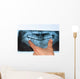 Dental X-Ray panoramic Wall Mural