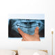Dental X-Ray panoramic Wall Mural