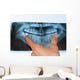 Dental X-Ray panoramic Wall Mural