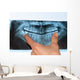 Dental X-Ray panoramic Wall Mural