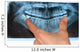 Dental X-Ray panoramic Wall Mural