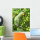 Cotorra Parrot Green From Central America Wall Mural
