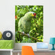 Cotorra Parrot Green From Central America Wall Mural