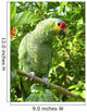 Cotorra Parrot Green From Central America Wall Mural