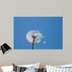 Dandelion Wall Mural