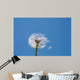 Dandelion Wall Mural