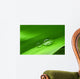 Drops Leaf