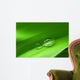 Drops Leaf