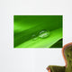 Drops Leaf