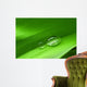 Drops Leaf