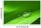 Drops Leaf