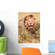 Lion Panthera Leo Wall Mural