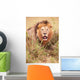 Lion Panthera Leo Wall Mural