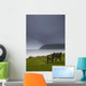 A bench Wall Mural