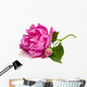 Peony Wall Decal