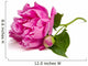 Peony Wall Decal