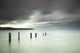Wooden posts Wall Mural