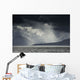 Sunlight Shining through Dark Wall Decal