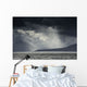 Sunlight Shining through Dark Wall Decal