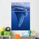 View Of An Iceberg Above And Below The Surface Of The Water Wall Mural