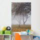 Canada geese sheltering under apple trees on a misty autumn morning Wall Mural
