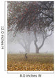 Canada geese sheltering under apple trees on a misty autumn morning Wall Mural