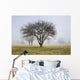 Trees shrouded in mist in springtime Wall Mural