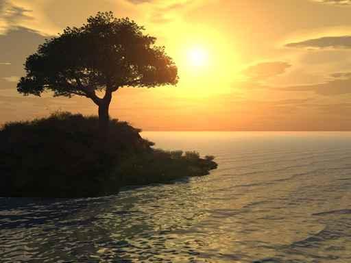 Tree Boat Wall Decal