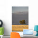 A single tree in a golden field at sunrise;Alberta canada Wall Mural