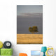 A single tree in a golden field at sunrise;Alberta canada Wall Mural