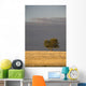 A single tree in a golden field at sunrise;Alberta canada Wall Mural