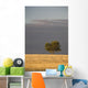 A single tree in a golden field at sunrise;Alberta canada Wall Mural