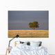 A single tree in a golden field at sunrise;Alberta canada Wall Mural