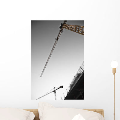 Low Angle Cranes Monaco Wall Mural shown on a wall