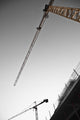 Low angle view of cranes;Monaco Wall Mural