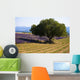 Blooming field of lavender with mountains Wall Mural