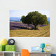 Blooming field of lavender with mountains Wall Mural