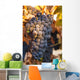 A cluster of grapes Wall Mural