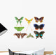Butterfly Moth Collection