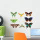 Butterfly Moth Collection Wall Decal