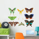 Butterfly Moth Collection Wall Decal