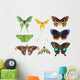Butterfly Moth Collection Wall Decal