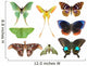 Butterfly Moth Collection Wall Decal